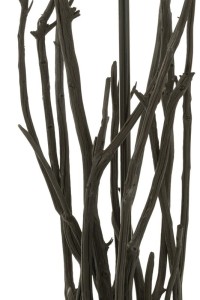 J-Line standing Lamp Branches Chestnut - wood - black