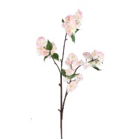 Blossom Flower Cream Pink Cherry Blossom Spray