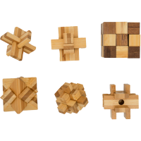 Brainteaser Ecological set of 6 Wooden Puzzles, Project Genius, EC003