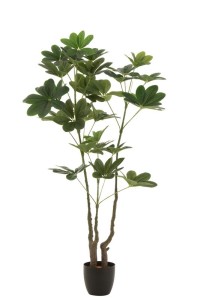 J-Line Money Tree In Pot Plastic Green Large