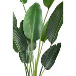 Leaves Plant Green PE Real Touch Strelitzia M