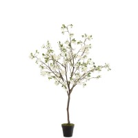 J-Line Bloesemboom Plastiek Wit/Bruin Large