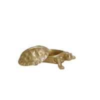 Schildpaddoos - Polyresin - Goud - 15,5x13,5x7,5cm