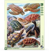 New York Puzzle Company Turtles - 1000 pieces