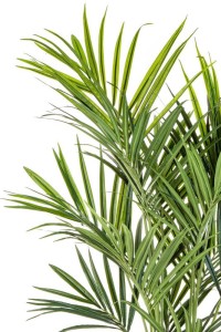 Kentia Artificial Palm 180cm