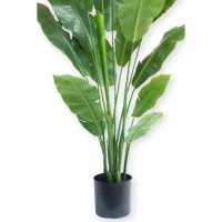 Strelitzia Kunstplant 180cm Deluxe