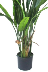 Strelitzia Artificial Plant 160cm