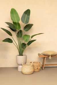 Artificial Strelitzia Plant 180cm