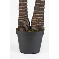 Cycas Palm Kunstplant - H150 x Ø100 cm - Groen