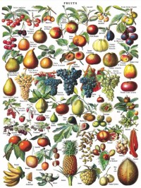 New York Puzzle Company Fruits - 1000 pieces