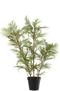 J-Line Bergpalm in Pot Plastic Green/Black Large