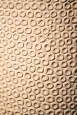 Laim Cream Cement Round Pot Dots Pattern On Base L