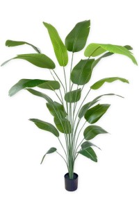 Pre-order art banana plant 210cm