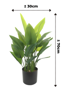 Artificial Strelitzia Plant 70cm