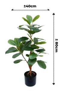 Ficus Artificial plant 80cm