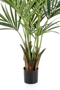 Kentia Artificial Palm 180cm