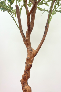 Artificial Olive tree 150cm (light trunk)