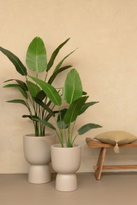 Artificial Strelitzia Plant 120cm