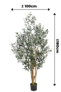 Pre-Order Art Olive Tree 180cm