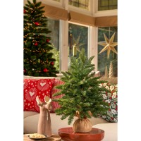 Abies Nordmann Deluxe Kunstkerstboom - H60 x Ø53 cm - Groen