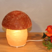 Himalaya Salt Dreams Salt Lamp Mushroom, 45054, 16cm high