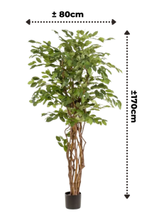 Ficus Liana Artificial Tree 170cm