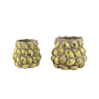 Fruitsy Yellow Round Terra Pot Lemon Finish L