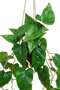 Anthurium Artificial Hanging Plant 95cm