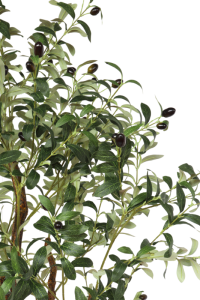 Pre-Order Art Olive Tree 150cm