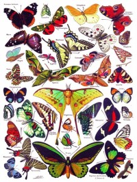 New York Puzzle Company Butterflies~Papillons - 1000 pieces