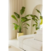 Strelitzia Kunstplant 165cm