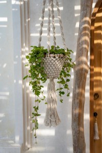 The Twisted Macramé Plant Holder - Natural White - L