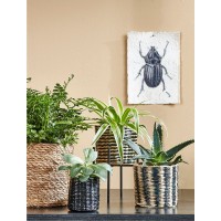 Atlantic Plantenmand - Set van 2 - H20 x Ø20 cm - Zeegras - Lichtbruin