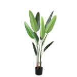Tree Green Leaf Ravenala In Black Pot S