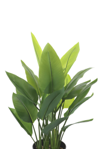 Artificial Strelitzia Plant 70cm