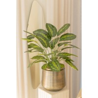 Calathea Kunstplant 70cm