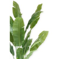 Strelitzia Kunstplant 210cm