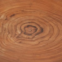 Het Teakwortel organische bord