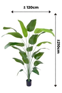 Pre-order art banana plant 210cm