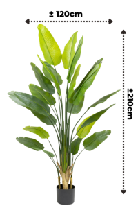 Artificial Strelitzia Plant 210cm