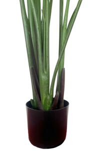 Artificial Strelitzia Plant 180cm