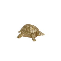 Schildpaddoos - Polyresin - Goud - 15,5x13,5x7,5cm