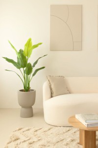 Artificial Strelitzia Plant 120cm