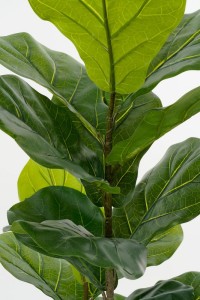 Ficus Lyrata artificial plant in pot - H150 x Ø50 cm - Green