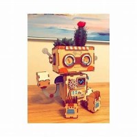 DIY Flowerpot Robot, Robotime, FT761, 18x13.6x15.5cm