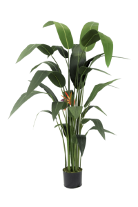 Artificial Strelitzia Plant With Flower 160cm