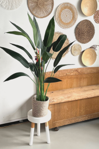 Artificial Strelitzia Plant With Flower 110cm