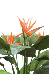 Strelitzia Artificial plant 120cm with flower