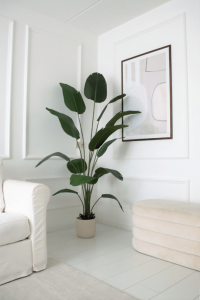 Artificial Strelitzia Plant 210cm