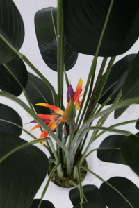 Artificial Strelitzia Plant With Flower 160cm